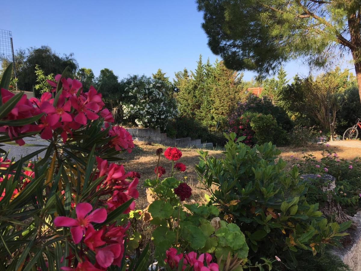 לאסי Despina Studios And Apartments מראה חיצוני תמונה
